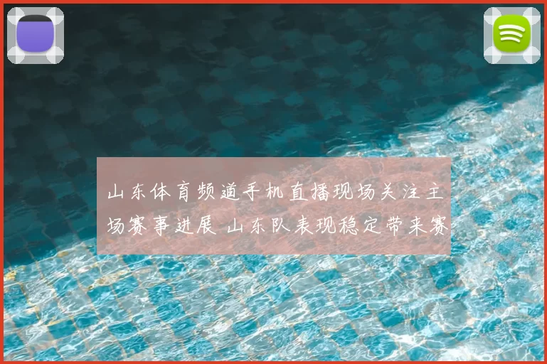 山东体育频道手机直播现场关注主场赛事进展 山东队表现稳定带来赛场看点