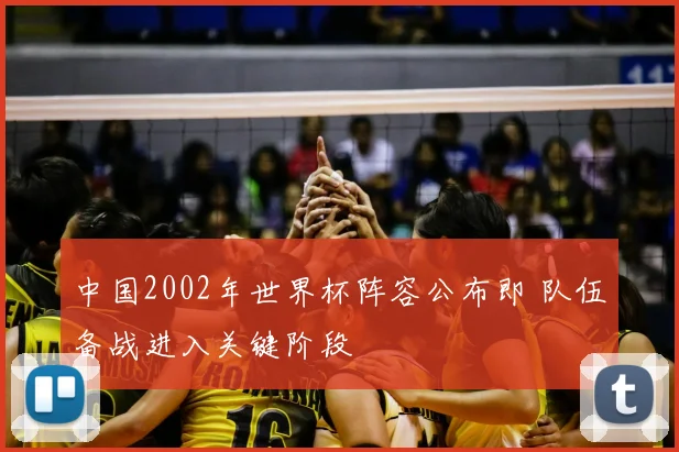 中国2002年世界杯阵容公布即 队伍备战进入关键阶段